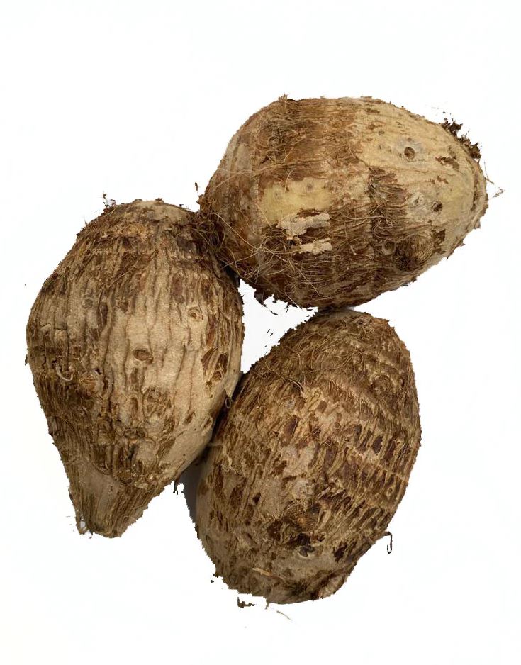 Coco Yam (Eddoes) 