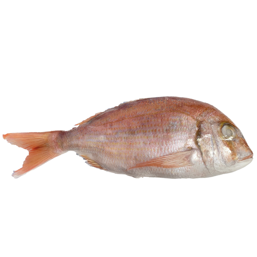 Dorade 1kg  