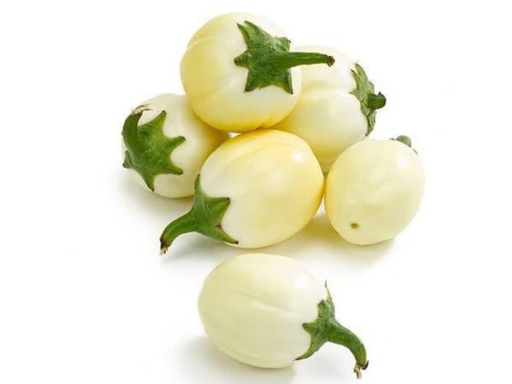 Aubergine